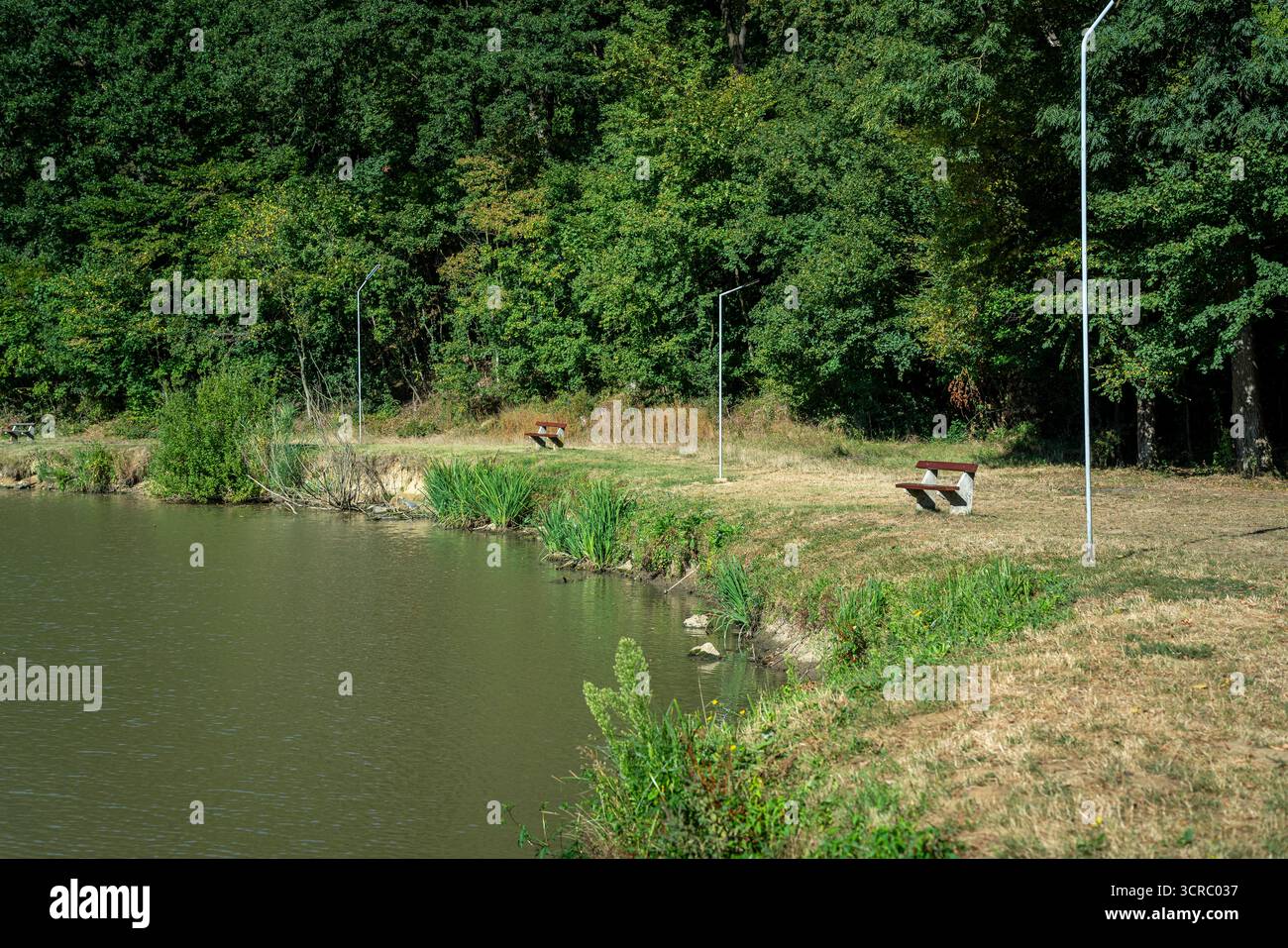 Europa, Ungheria, contea di Komarom Esztergom. Questa incredibile valle e lago si trovano vicino al villaggio di Tardos. Il nome ungherese è Tardosi malomvolgyi To Foto Stock