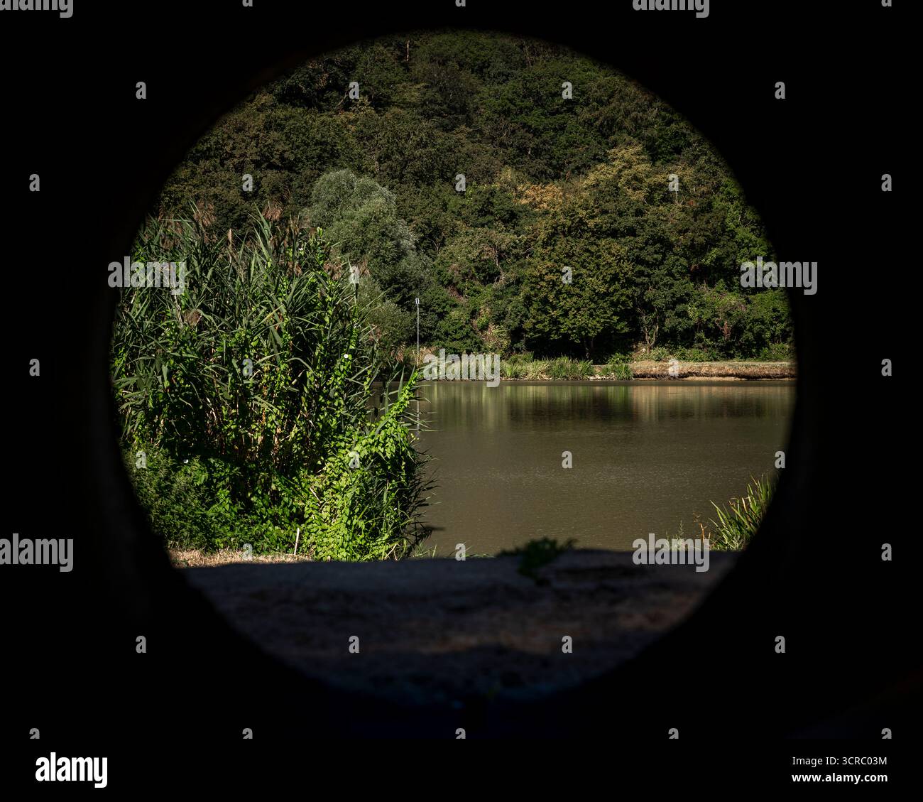 Europa, Ungheria, contea di Komarom Esztergom. Questa incredibile valle e lago si trovano vicino al villaggio di Tardos. Il nome ungherese è Tardosi malomvolgyi To Foto Stock