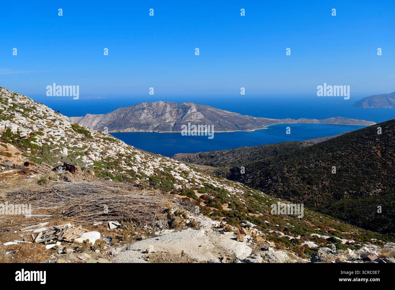 Amorgos Grecia - capre che pascolano liberamente sulla terra arida, che si affaccia sulla baia di Kalotiri e su piccole isole disabitate nel Mar Egeo Foto Stock