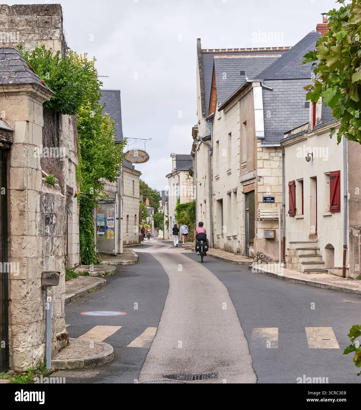 Il comune storico di Candes St Martin, sulle rive della Loira, Francia Foto Stock