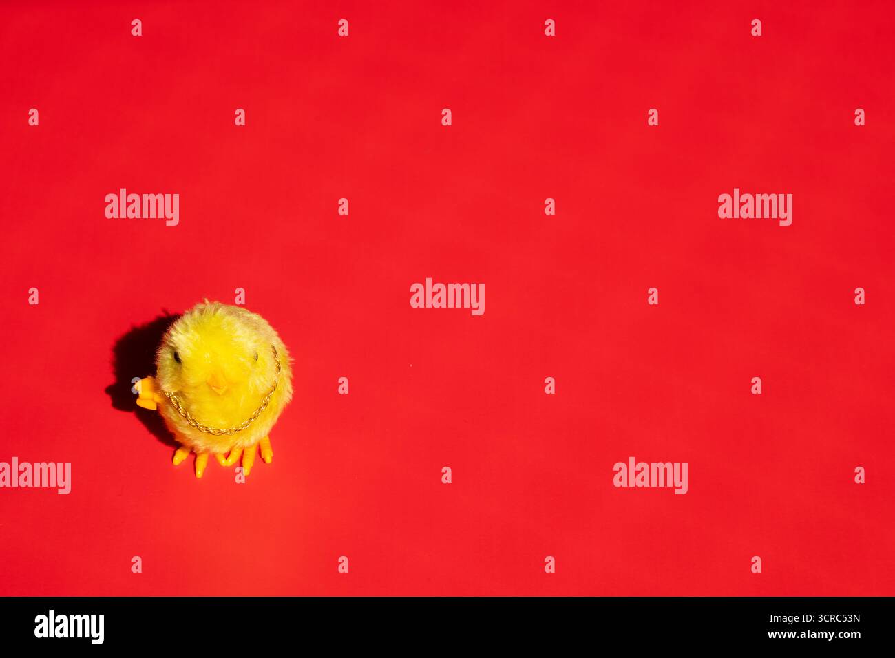 Il pulcino piccolo carino si alza da solo su uno sfondo rosso. Concettuale. Foto Stock