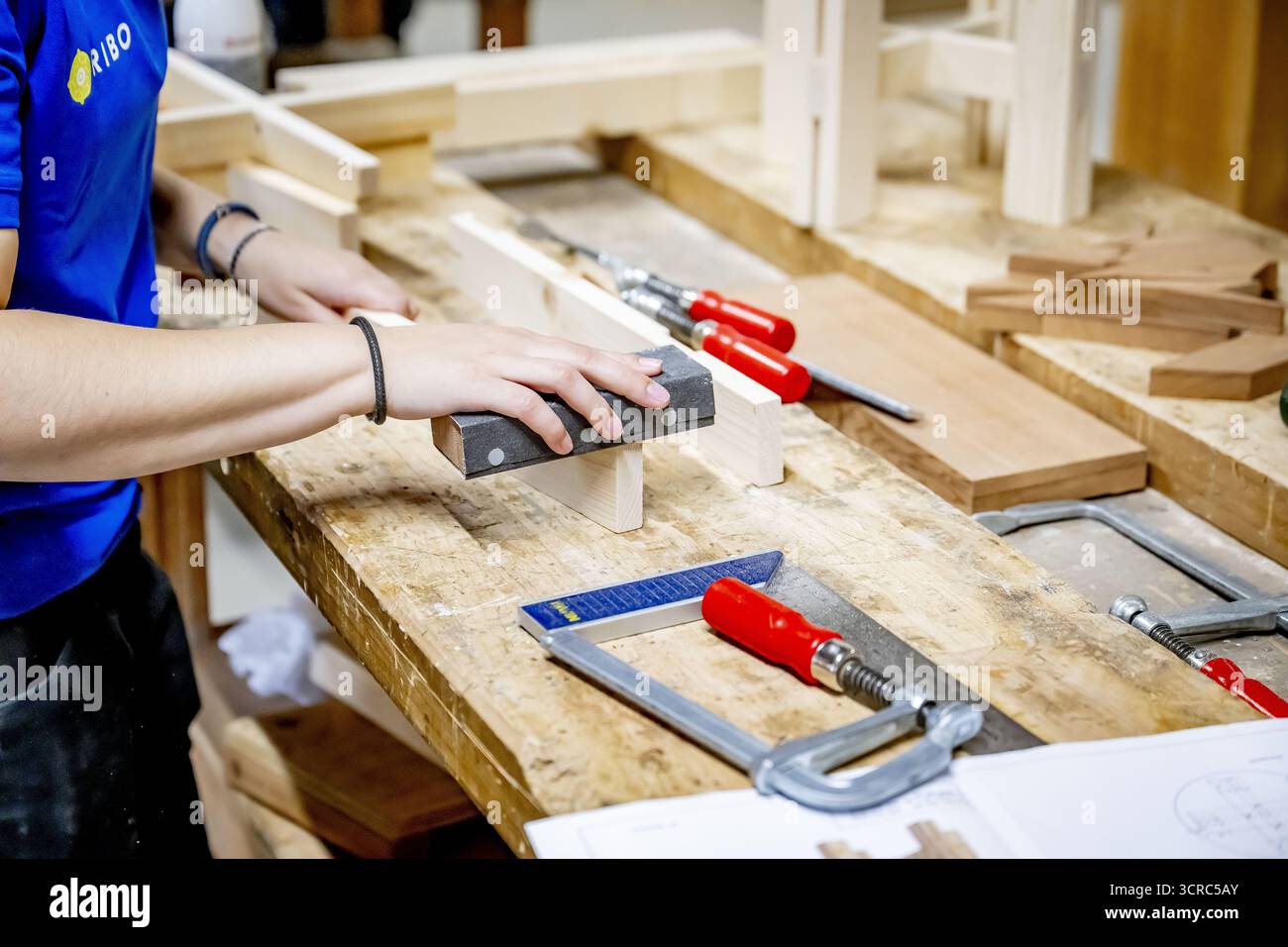 HENGELO - gli studenti sono impegnati alla ROC Twente. Qui i giovani sono addestrati all'artigianato tradizionale come la lavorazione del legno e l'intaglio della pietra. ANP /HOLLANDSE HOOGTE /ROBIN UTRECHT paesi bassi uscita - belgio uscita Foto Stock