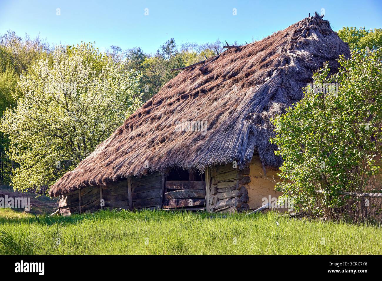 Immagine di una vecchia capanna del villaggio con un tetto di paglia in mezzo alla natura Foto Stock