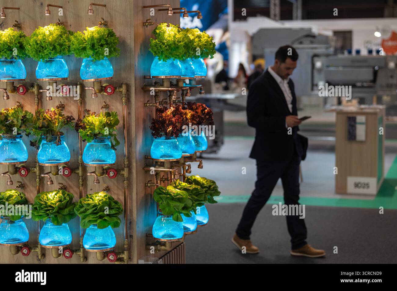 Madrid, Spagna. 30 settembre 2025. Coltivazione della lattuga in un sistema di coltivazione idroponica visto durante l'inaugurazione di Fruit Attraction 2025. Fruit Attraction trasforma Madrid in un hub internazionale per il settore ortofrutticolo, riunendo operatori, rivenditori e professionisti per promuovere l'innovazione, l'apertura dei mercati e promuovere l'attività commerciale globale. Crediti: Marcos del Mazo/Alamy Live News Foto Stock Madrid, Spagna. 30 settembre 2025. Coltivazione della lattuga in un sistema di coltivazione idroponica visto durante l'inaugurazione di Fruit Attraction 2025. Fruit Attraction trasforma Madrid in un hub internazionale per il settore ortofrutticolo, riunendo operatori, rivenditori e professionisti per promuovere l'innovazione, l'apertura dei mercati e promuovere l'attività commerciale globale. Crediti: Marcos del Mazo/Alamy Live News Foto Stock