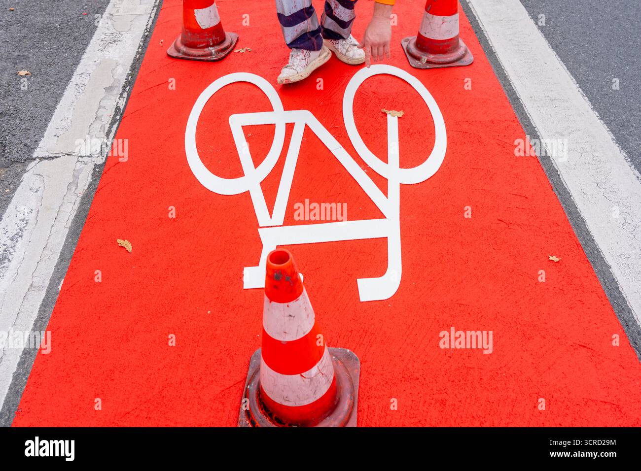 Applicazione della pavimentazione stradale rossa su una pista ciclabile, strada urbana, cosiddetta pavimentazione in plastica fredda, in rosso traffico, RAL3020. Il segno colorato è "i" Foto Stock