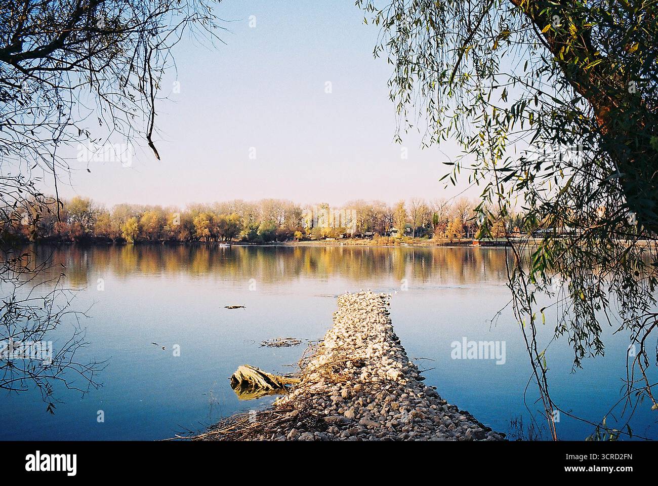 Calmo autunno sul Danubio visto dalla riva. Foresta illuminata dal sole dai colori forti, il molo di pietra raggiunge l'acqua ferma. Ripresa su pellicola: Rilassante vista analogica. Foto Stock