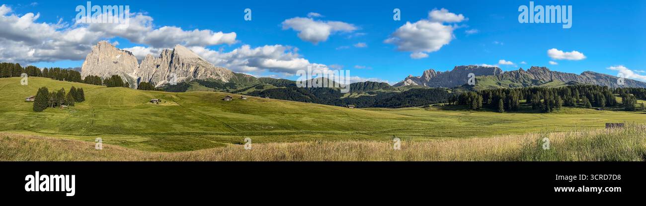 Vista panoramica con il gruppo Langkofel e il Rosengarten sull'Alpe di Siusi nelle Dolomiti, alto Adige, Italia. Foto Stock