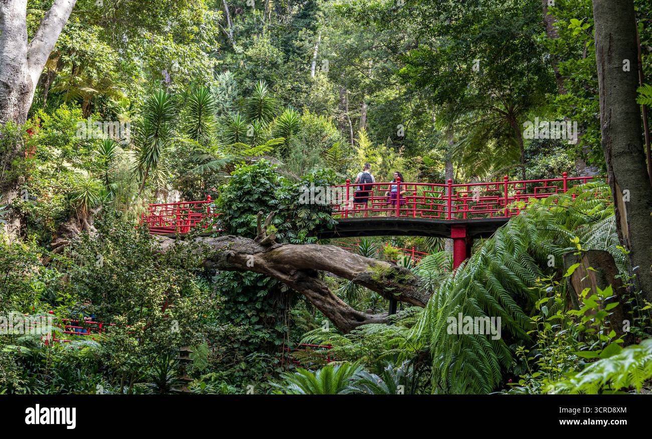 Due persone attraversano un ponte rosso circondato da vegetazione lussureggiante e da alti alberi in una foresta tropicale. Giardini tropicali del Monte Palace di Madeira. Foto Stock