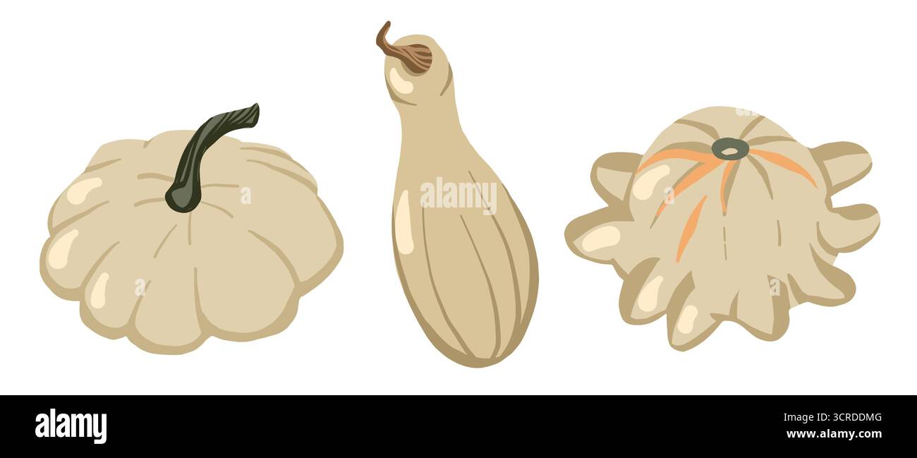 Set di zucca autunnale in tonalità grigie, illustrazione vettoriale piatta per le carte del Ringraziamento, tessuto autunnale e motivi per le feste natalizie Illustrazione Vettoriale