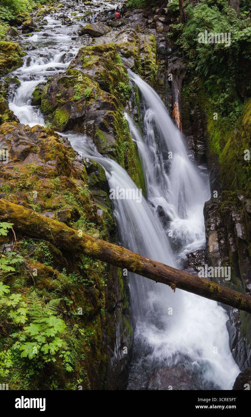 Cascata a lunga esposizione nella lussureggiante foresta pluviale con acqua fluente e vegetazione alla luce del pomeriggio Foto Stock
