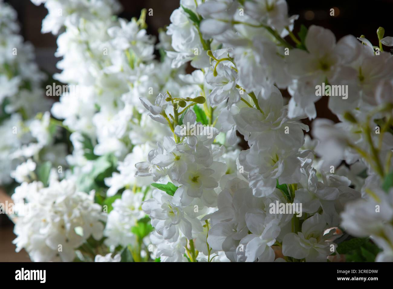 Vista di finti fiori bianchi di plastica come sfondo. Foto Stock