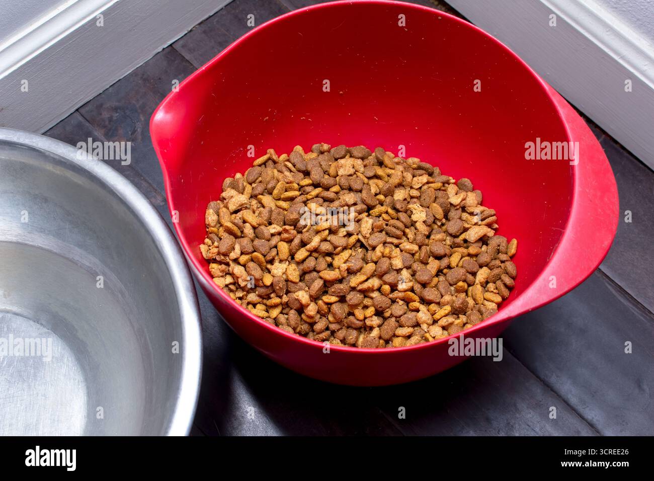 Vista su una ciotola di cibo secco per cani sul pavimento. Foto Stock