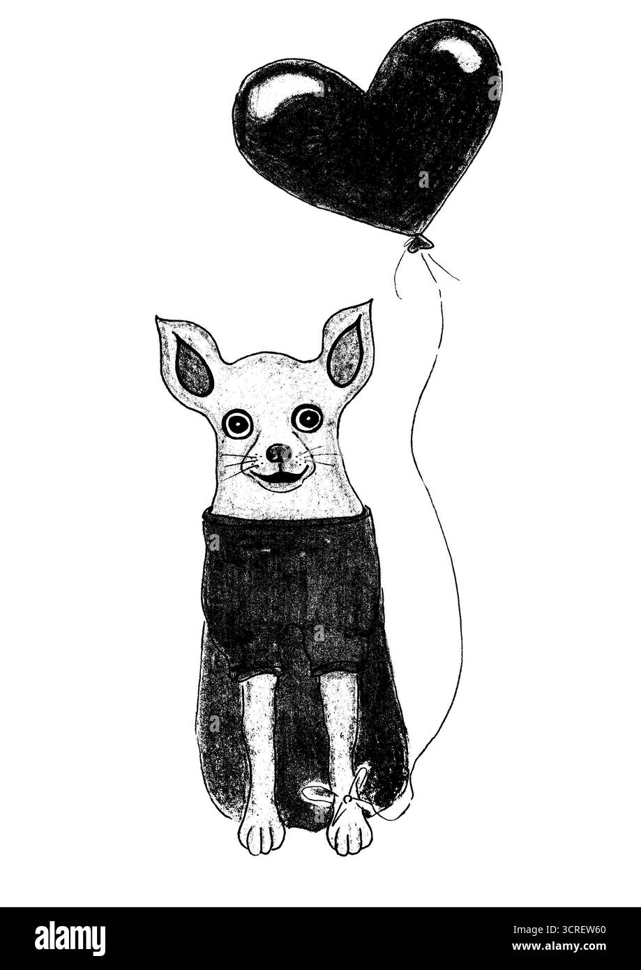 Cartolina romantica. Disegno con matite. Cane Chihuahua in tuta. Un palloncino a forma di cuore è legato alla zampa del cane. Accarezza in faccia. Monocromatico. Isolata o Foto Stock