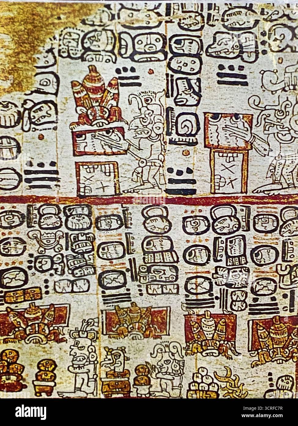 Il codice Maya di Madrid che mostra come lavorare con le api mellifere al Cappas Insectozoo di Vila Ruiva, Beja, Portogallo - Immagine stock catturata con smartphone