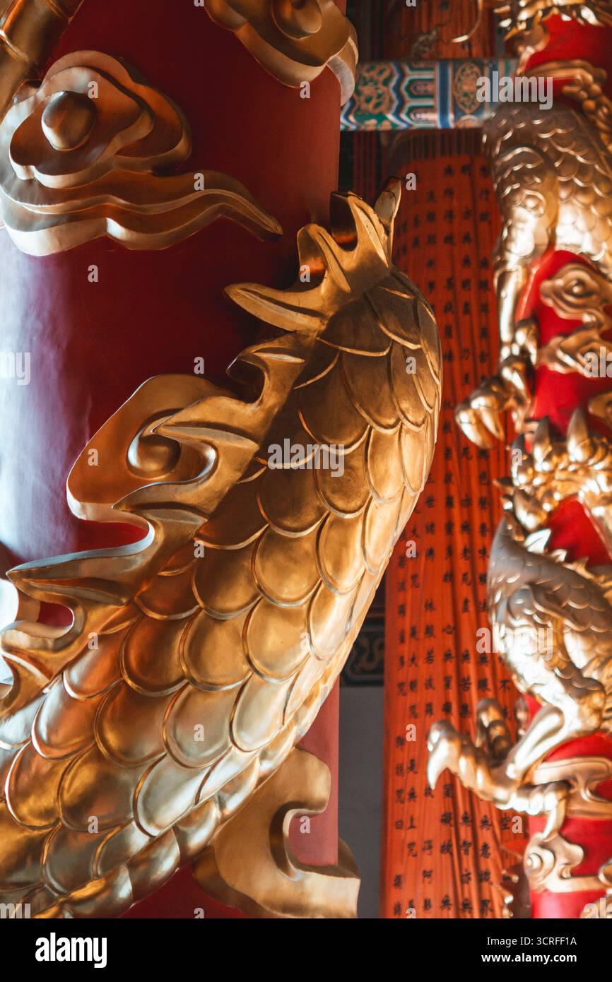 La vista del drago dorato si snoda intorno a un pilastro cremisi, le sue scaglie scintillanti nella luce soffusa, una testimonianza dell'antica artigianato, Dali, Yunnan, Cina. Foto Stock