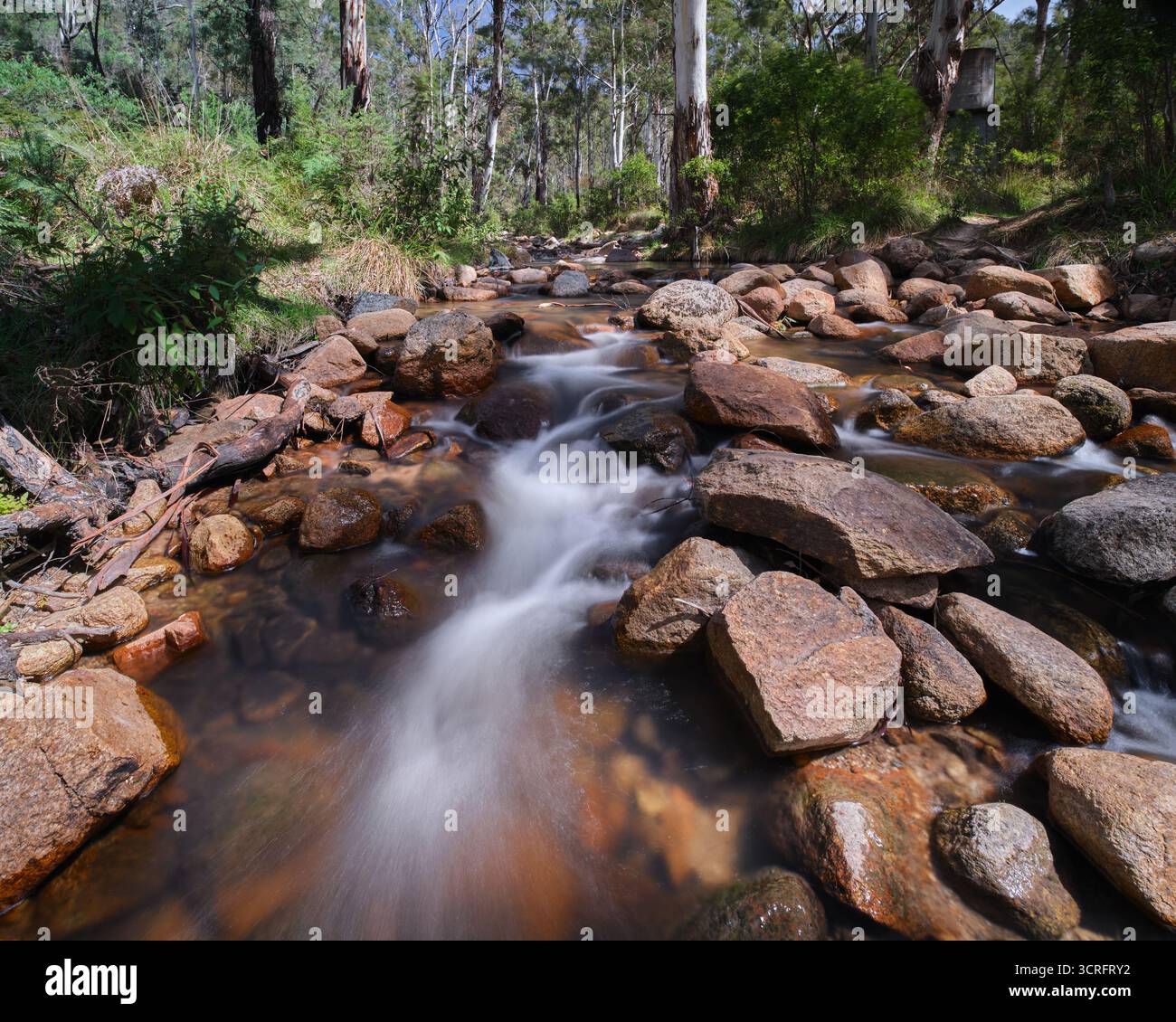 Up The Creek Foto Stock