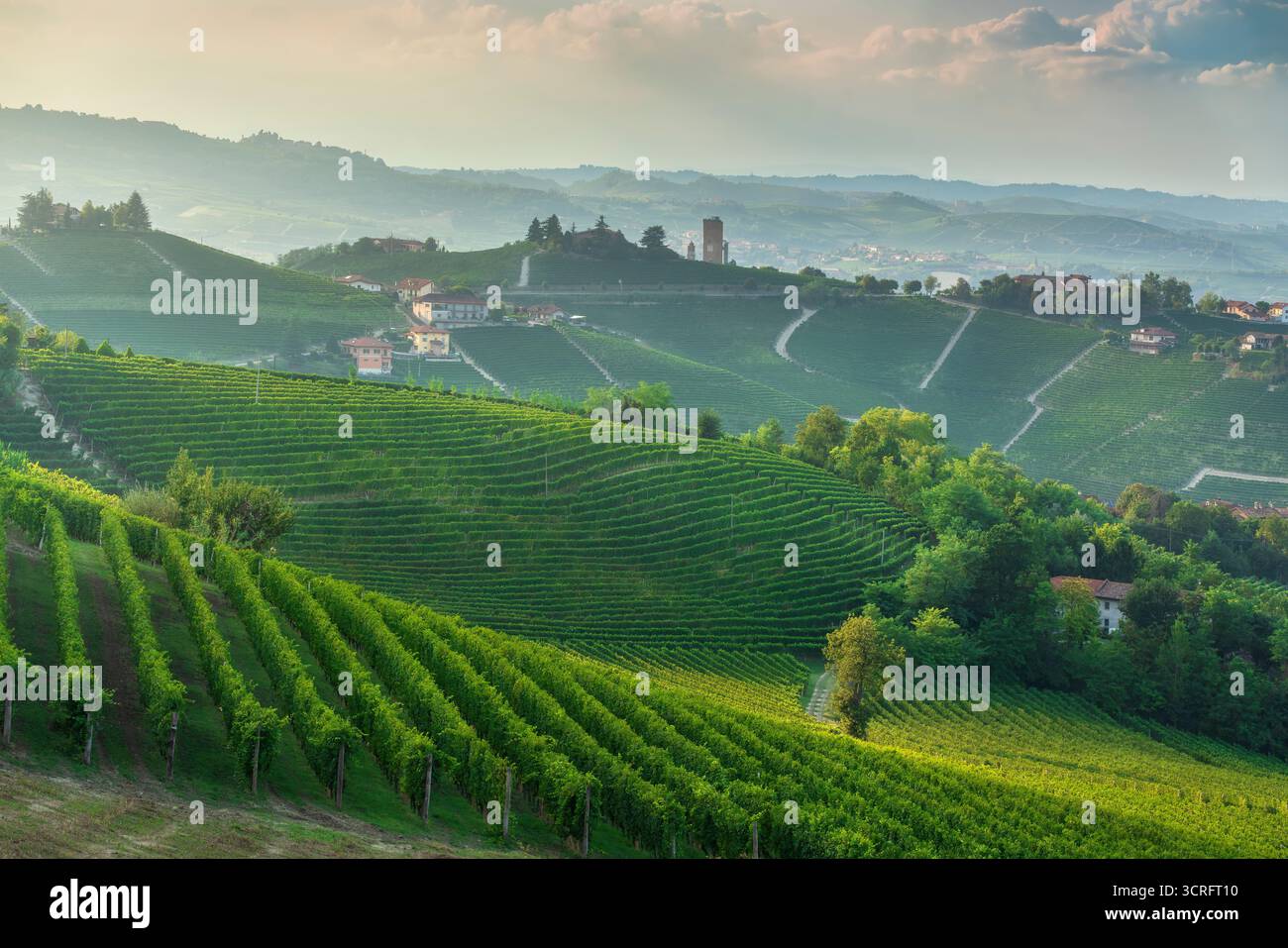 Vigneti terrazzati delle Langhe con la storica torre Barbaresco visibile sullo sfondo nebbioso. Colline ondulate con filari geometrici in Piemonte, Italia Foto Stock
