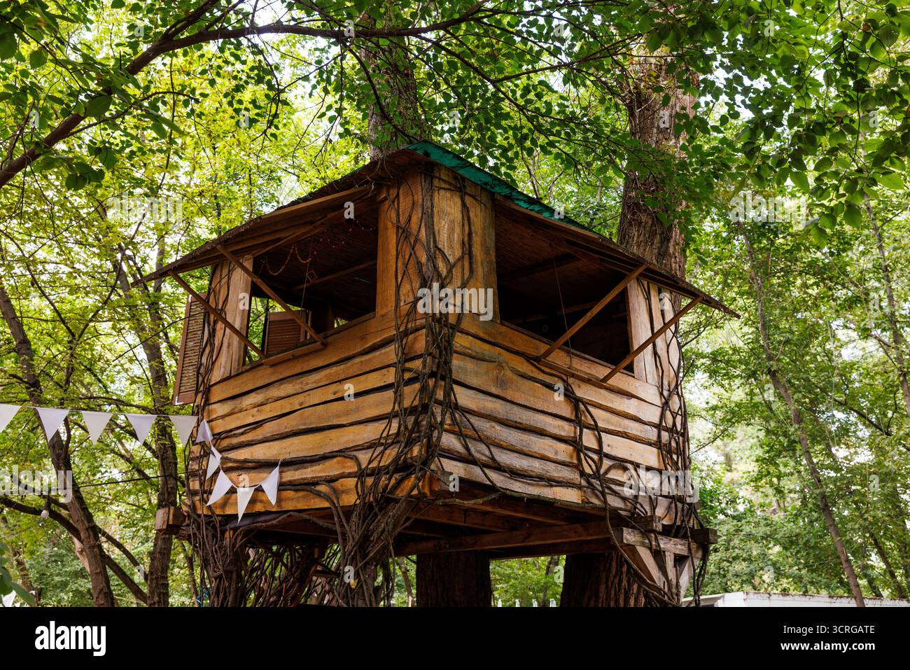Questa incantevole casa sull'albero vanta un design rustico in legno adornato da vigne striscianti, situato in mezzo a una vegetazione lussureggiante, che crea un rifugio bizzarro Foto Stock