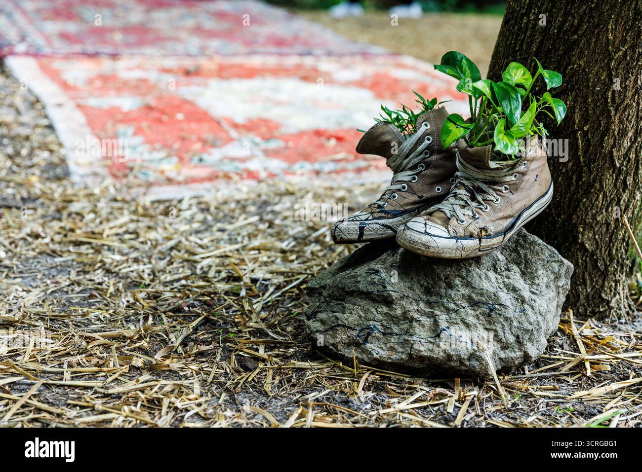 Questa mostra artistica presenta un paio di sneakers usate riutilizzate come piantatrici, piene di piante verdi vivaci, che poggiano su una roccia in mezzo a una l naturale Foto Stock