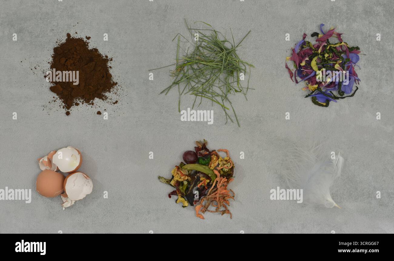 Educazione al compostaggio, seconda parte. Ingredienti per uno strato di compost verde. Foto Stock