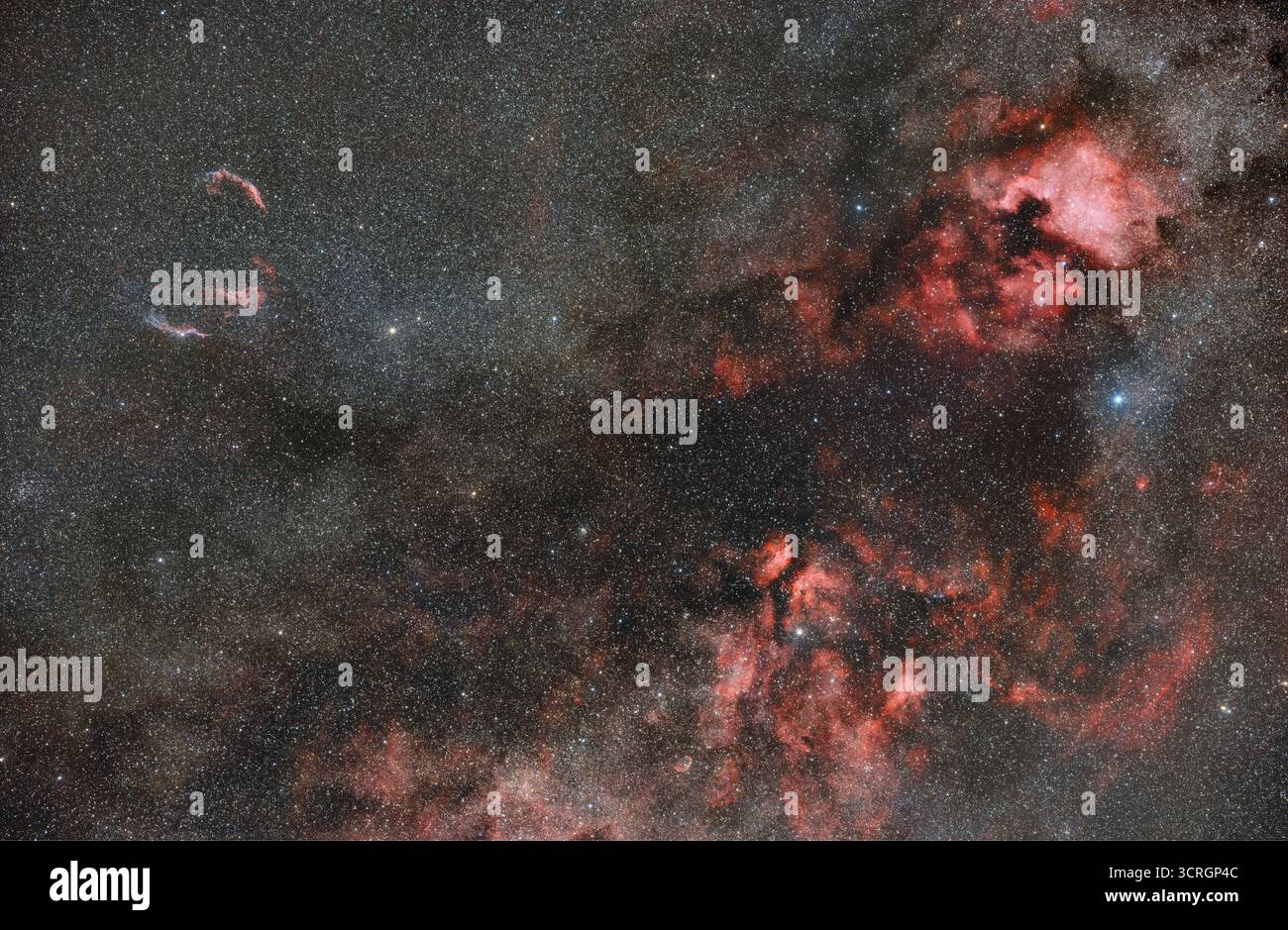 Fotografia nello spazio profondo, parte meridionale dell'idrogeno della costellazione Cygnus: Cygnus Loop, North America Nebula, Pelican Nebula, Crescent Nebula e molti altri Foto Stock Fotografia nello spazio profondo, parte meridionale dell'idrogeno della costellazione Cygnus: Cygnus Loop, North America Nebula, Pelican Nebula, Crescent Nebula e molti altri Foto Stock