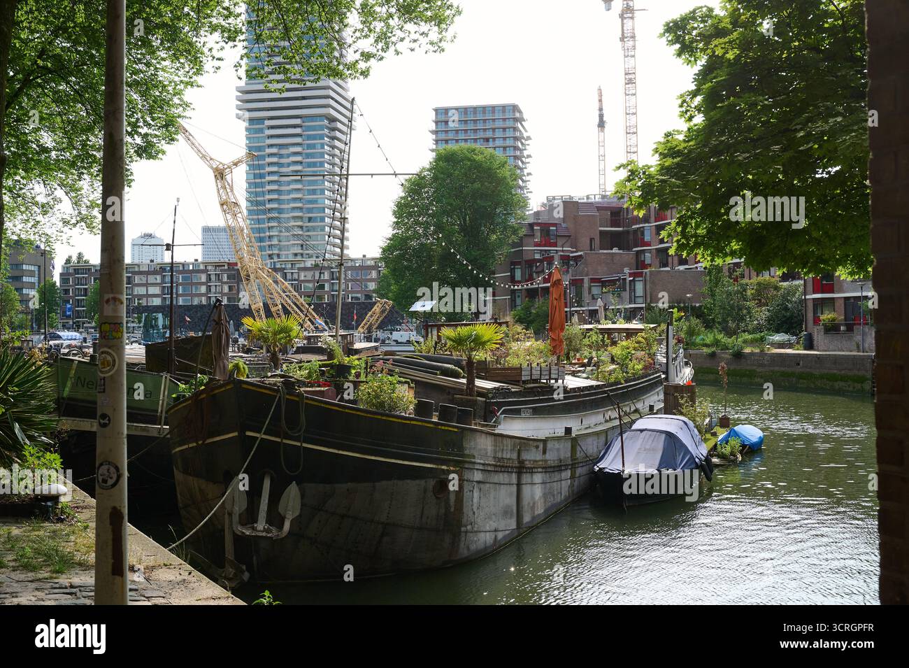 Casa galleggiante nel vecchio porto di Rotterdam Foto Stock