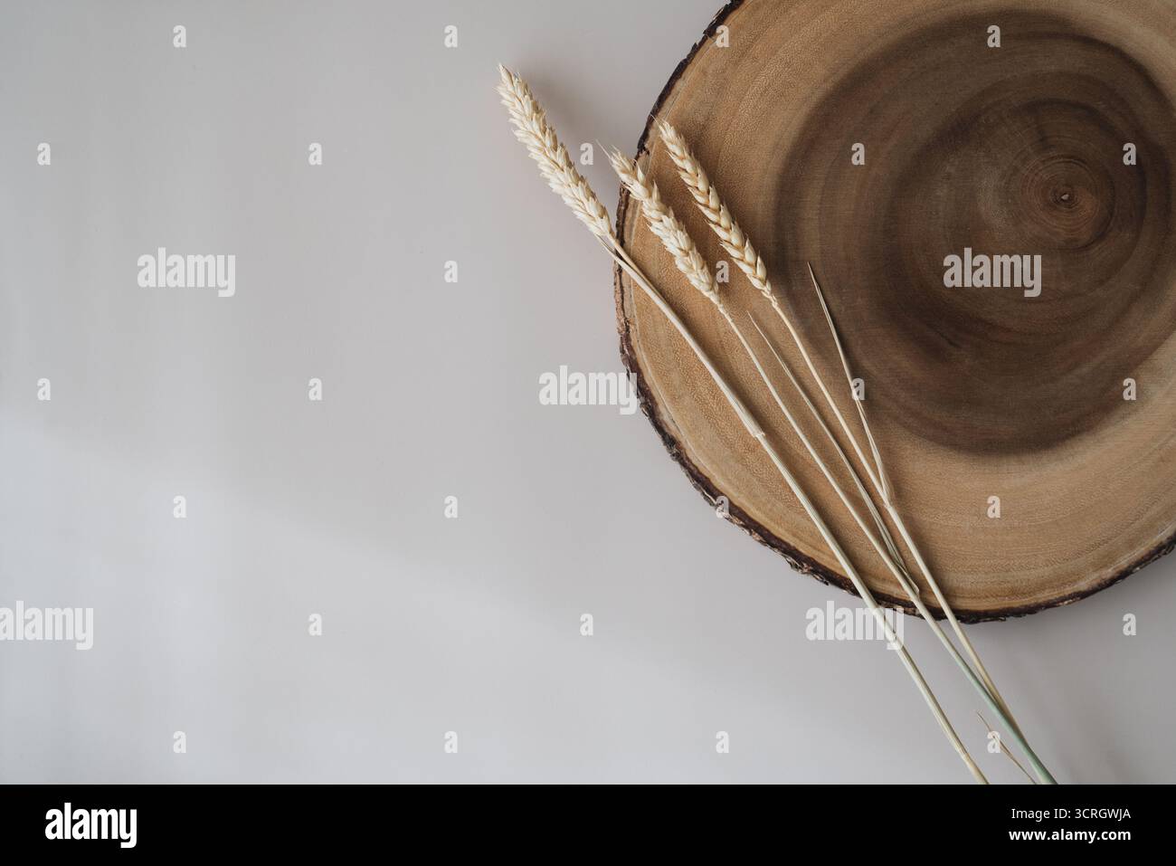 Splendidi steli di segale, grano e taglio in legno su sfondo beige neutro. Composizione floreale minimale estetica, spazio di copia. Invito, saluto CA Foto Stock