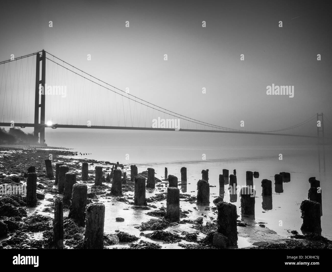 L'Humber Bridge attraversa l'estuario all'alba in bianco e nero con vecchi pali di legno nelle distese fangose in primo piano Foto Stock