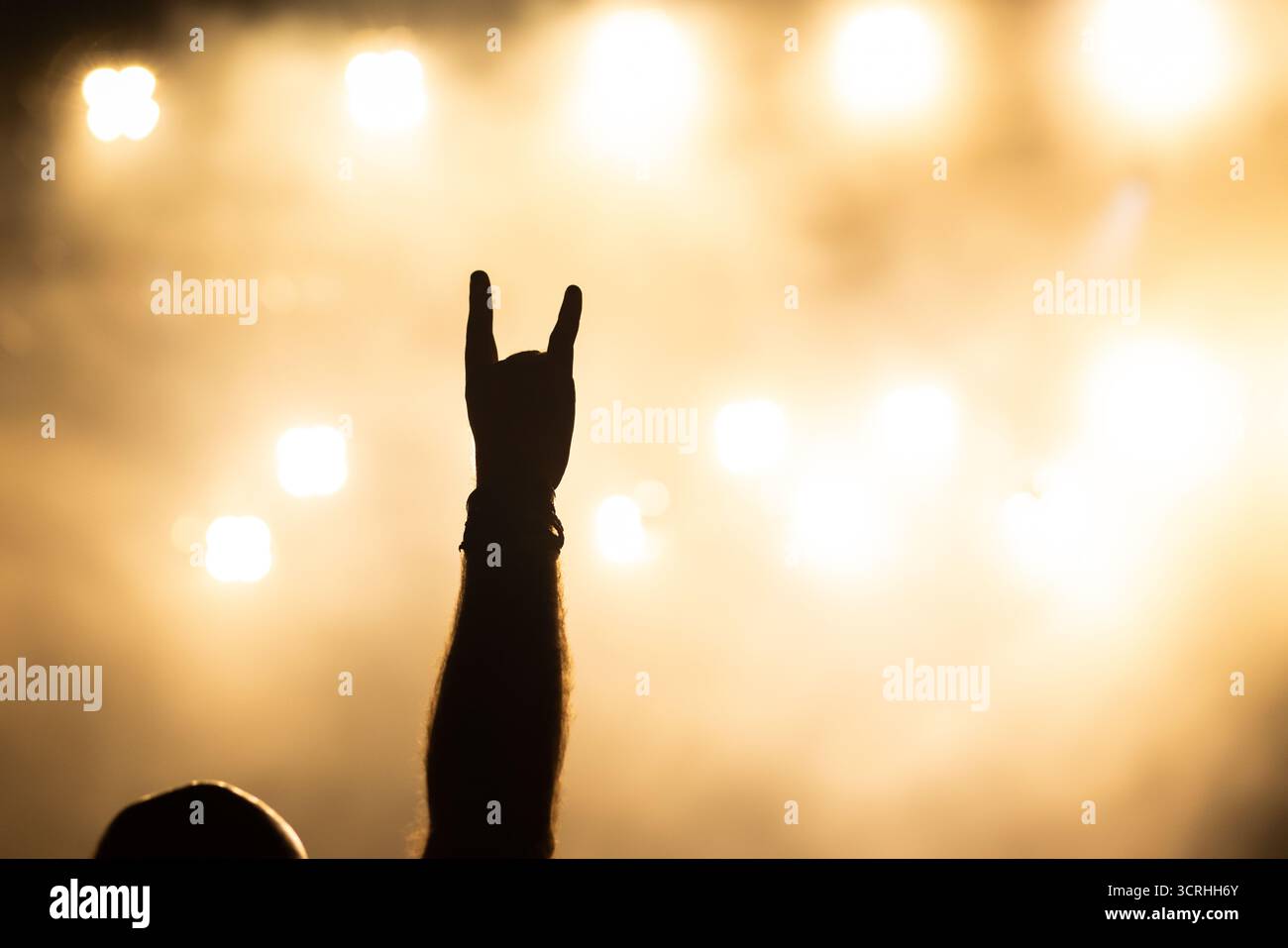folla che si diverte al festival musicale estivo Foto Stock