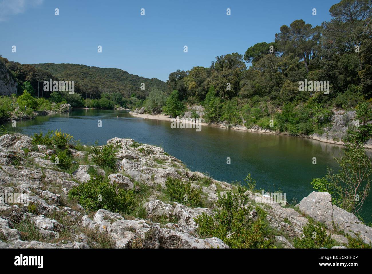 Sponde rocciose e boscose del fiume Gardon a monte del Pont du Gard Remoulins Gard Francia Foto Stock