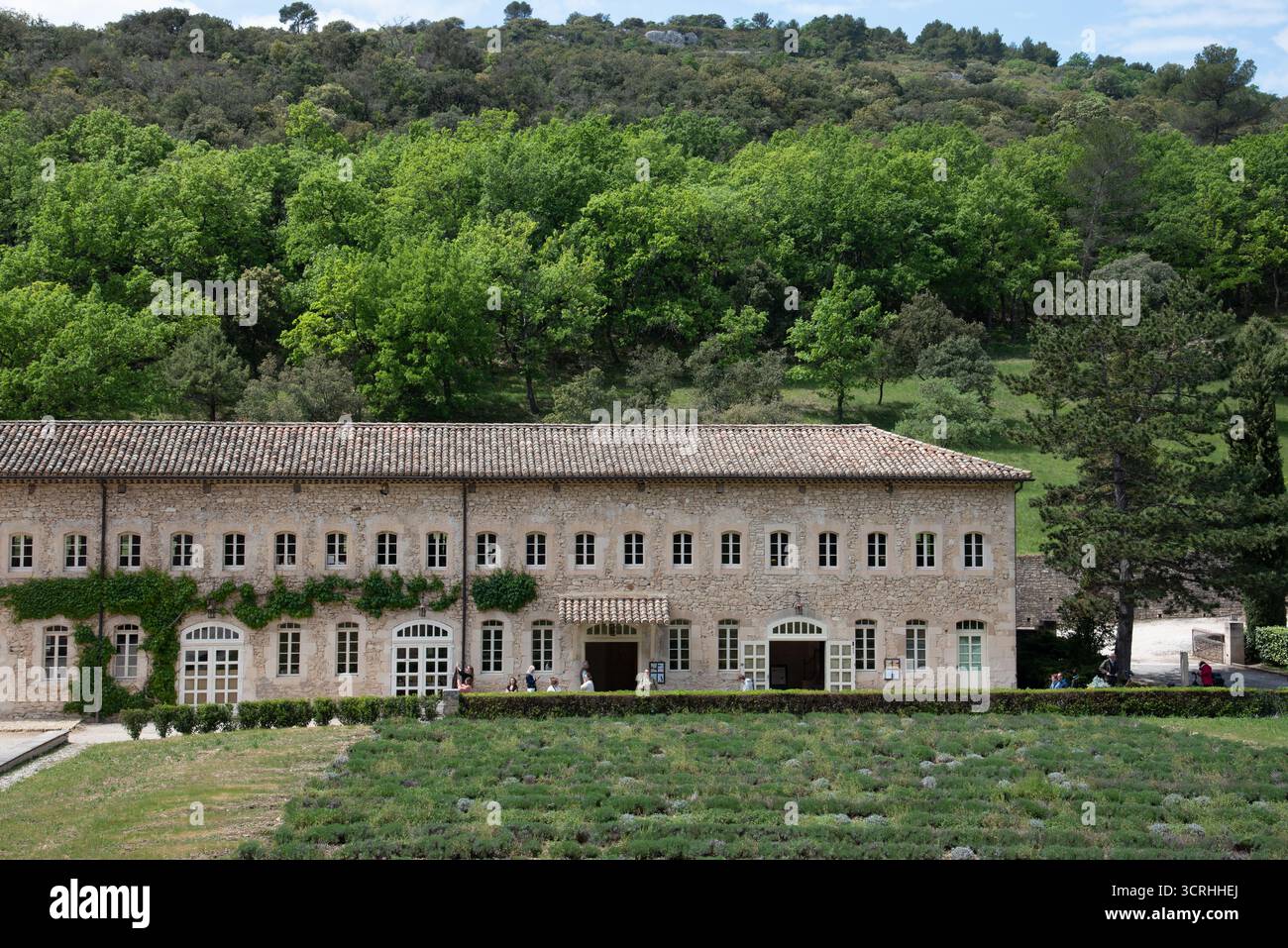 Monastero cistercense o abbazia di Senanque vicino a Gordes Vaucluse Luberon Provenza Francia Foto Stock