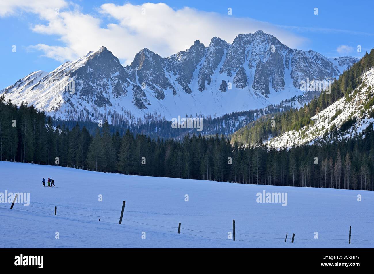 Triebental, Stiria, Austria - 31 gennaio 2024 - gli sciatori al mattino iniziano un'escursione in montagna con temperature invernali ghiacciate. Foto Stock