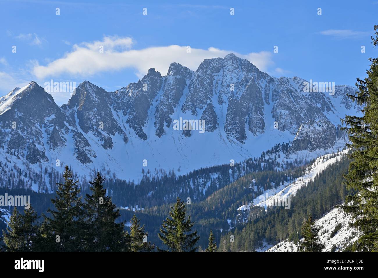 Immagine panoramica della catena montuosa rocciosa di Gamskögel in inverno. Immagine di intestazione tipica per paesaggi montani aspri e invernali. Stiria, Austria. Foto Stock