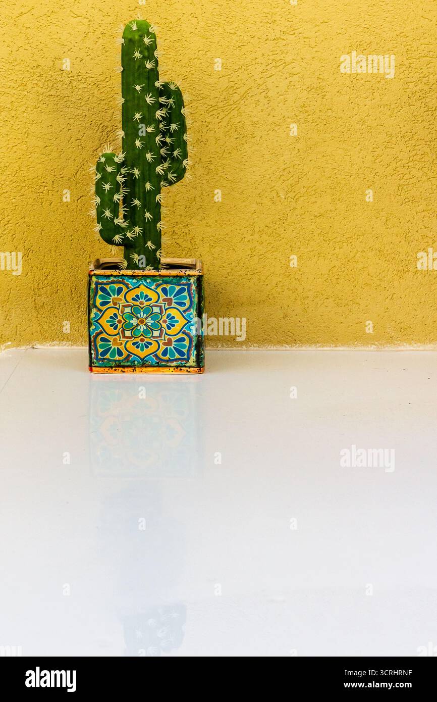 Cactus in colorato vaso decorativo contro la luminosa parete gialla per un arredamento vivace Foto Stock