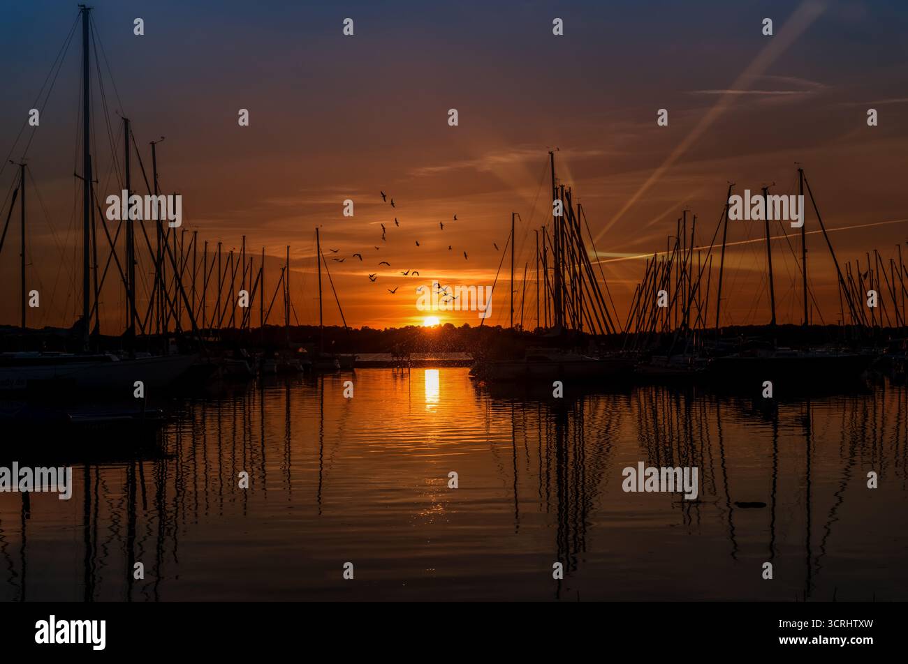 Tramonto dorato sulle barche a vela e calmo porticciolo con uccelli che volano attraverso i tranquilli riflessi d'acqua nella tranquilla luce serale Foto Stock