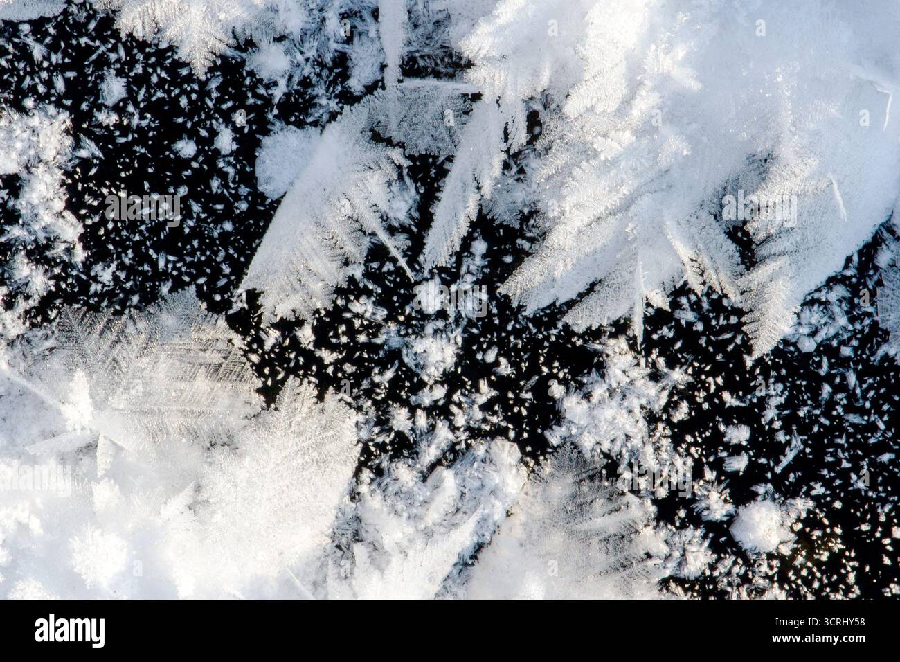 schemi di gelo su neve e ghiaccio, periodo invernale Foto Stock