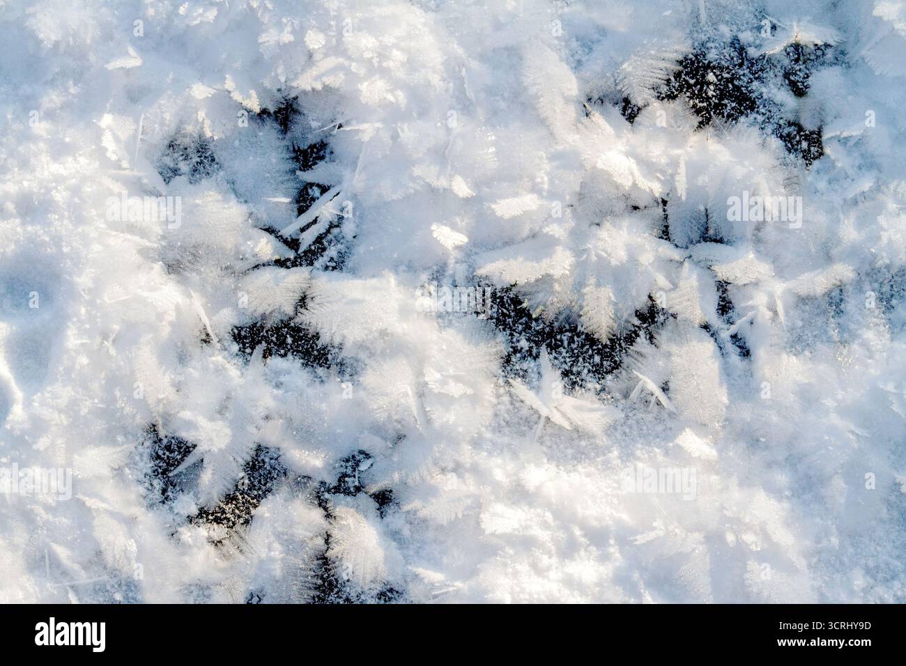 neve su un lago ghiacciato, periodo invernale Foto Stock