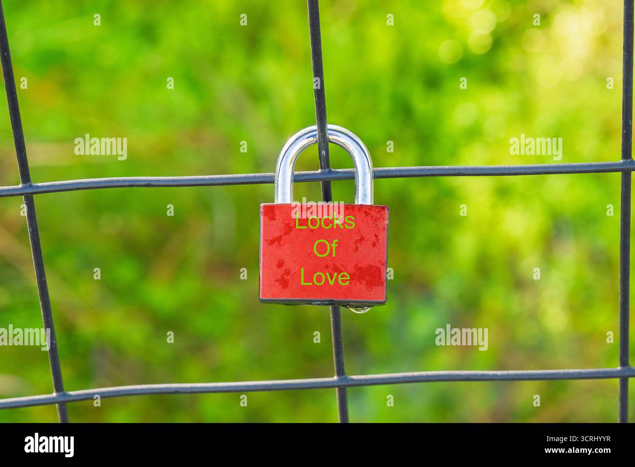 Lucchetto rosso fissato su una recinzione metallica con un rigoglioso sfondo verde bokeh, con le parole Locks of Love in verde. Foto Stock