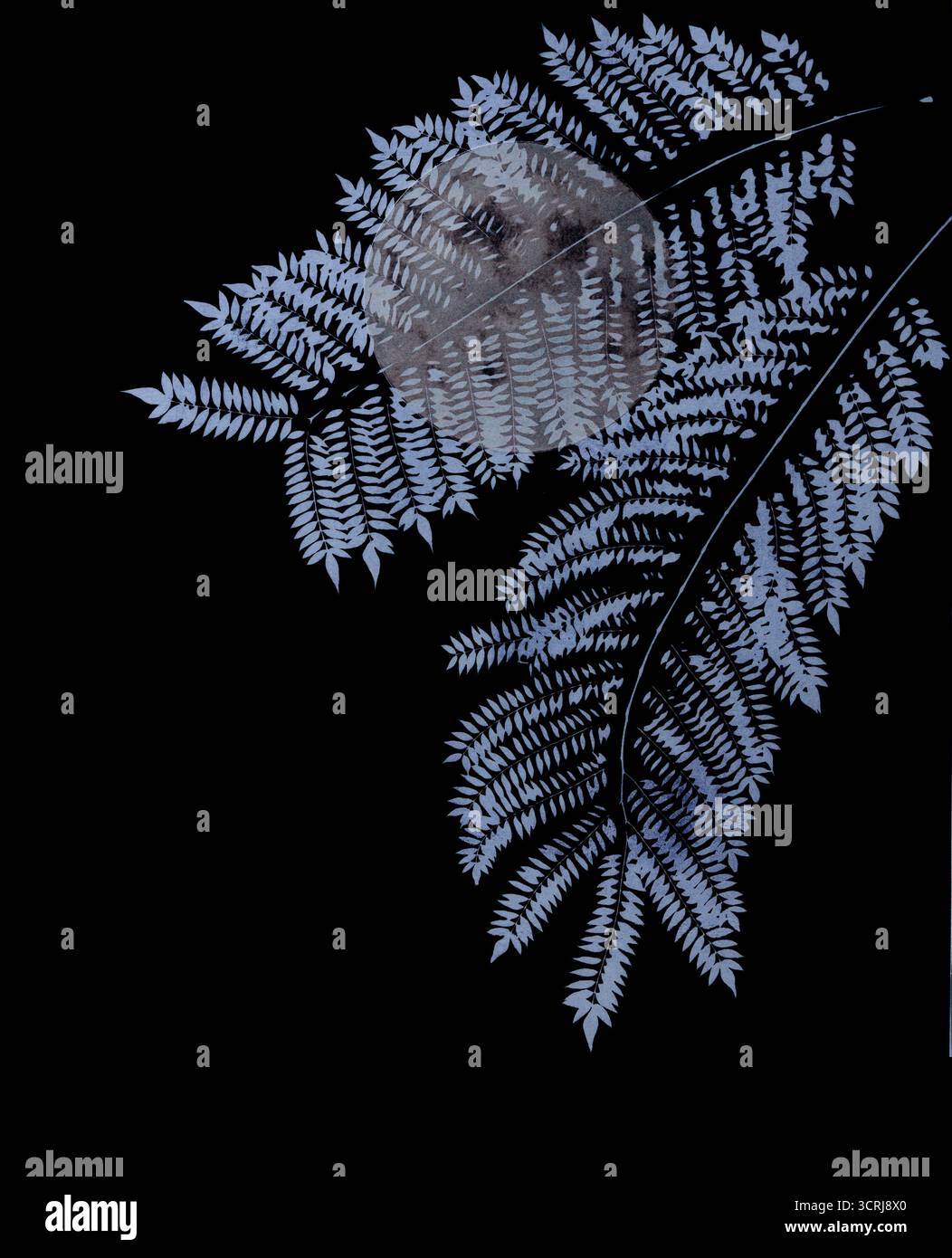 Stampa di una luna piena e foglie di jacaranda, litografia mista e tecniche di incisione classiche (Mezzotint da scuro a chiaro) Foto Stock