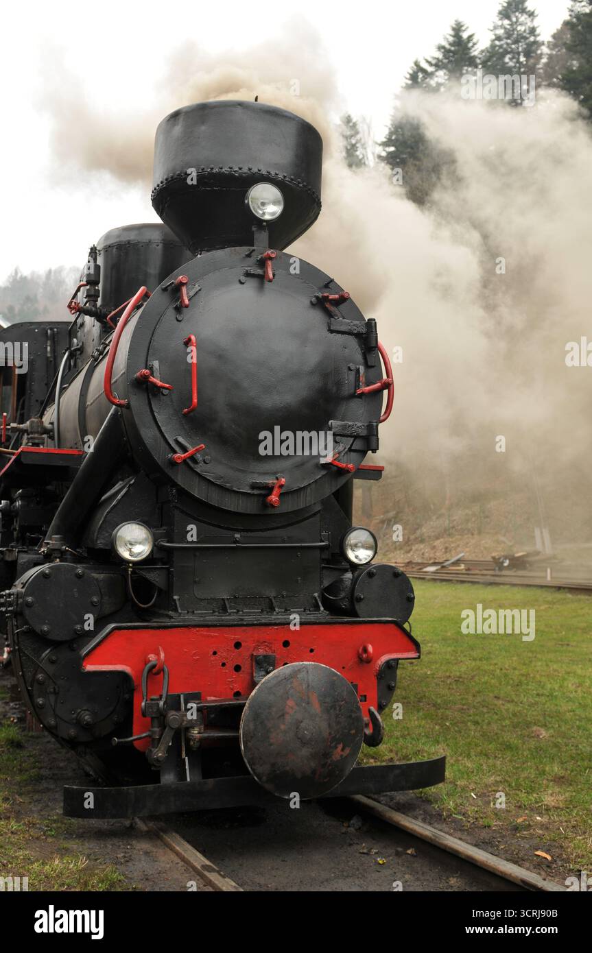 Vista frontale di una locomotiva a vapore che rilascia vapore presso la ferrovia forestale di Bieszczadzka a Majdan, vicino a Cisna, Polonia sud-orientale. Foto Stock