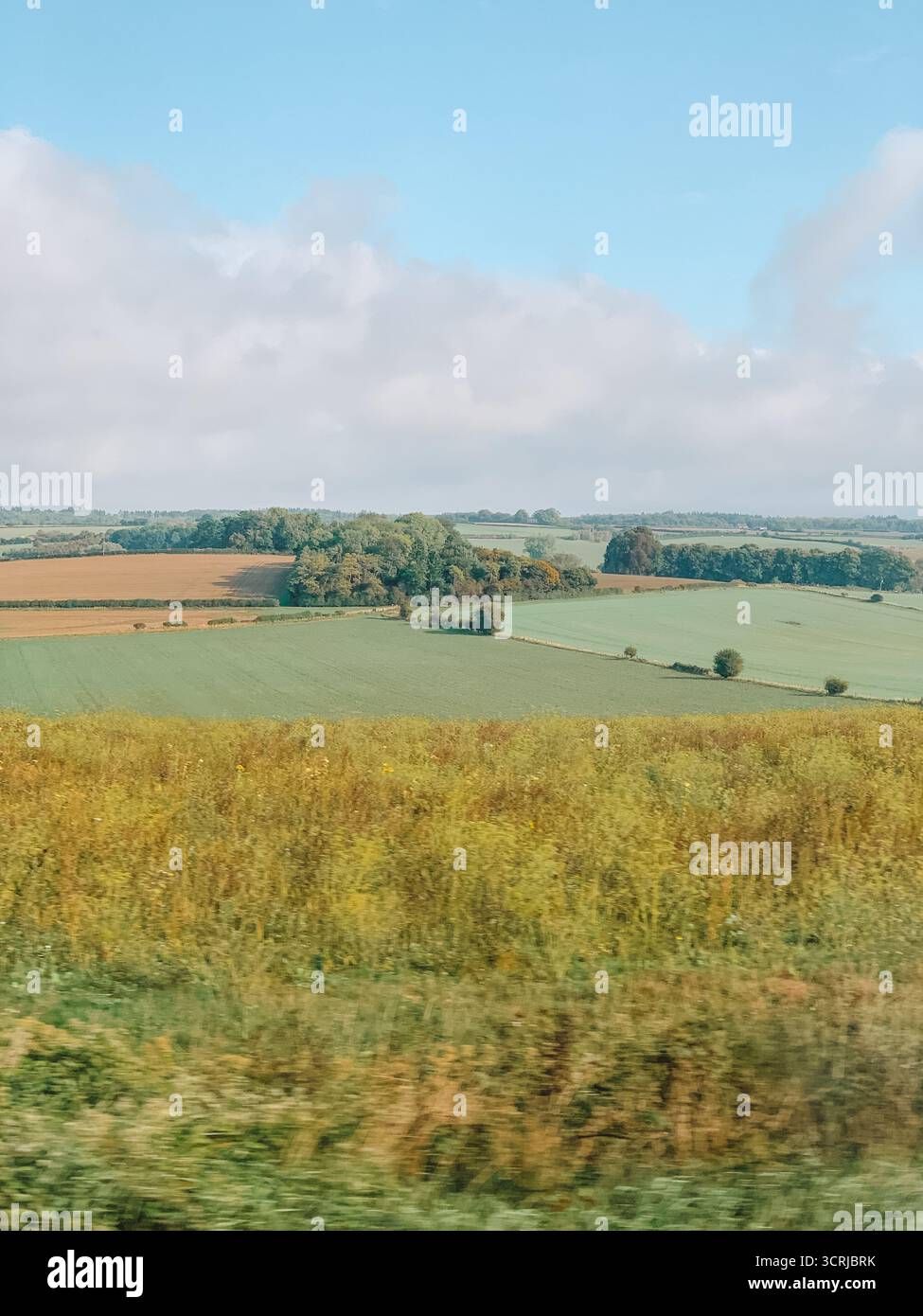 Splendide Green Rolling Hills nella campagna inglese - Fotografia paesaggistica rurale - Immagine stock catturata con smartphone