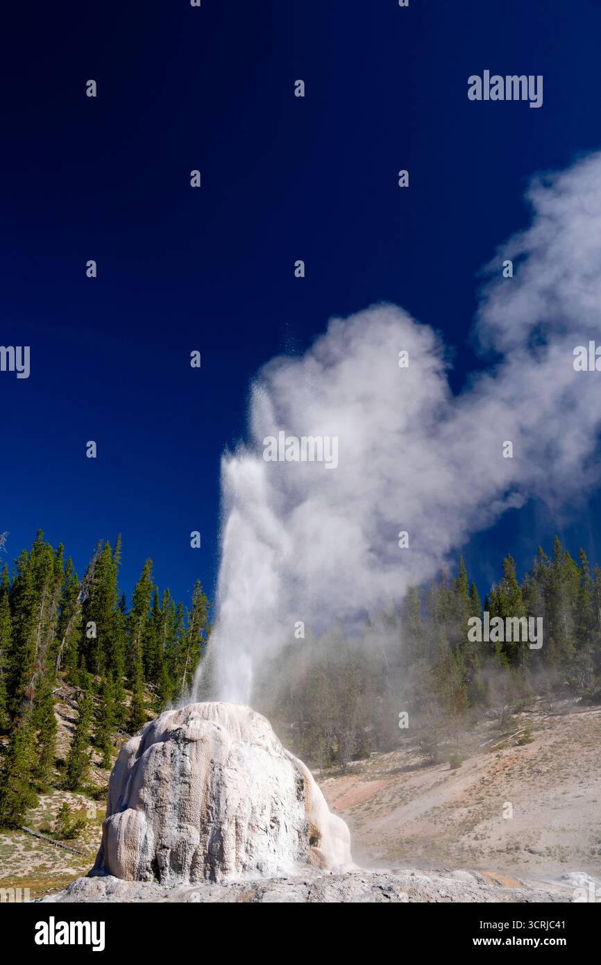 Il geyser Lone Star erutta con forza nel parco nazionale di Yellowstone, Wyoming, Stati Uniti, in una splendida giornata estiva. Foto Stock