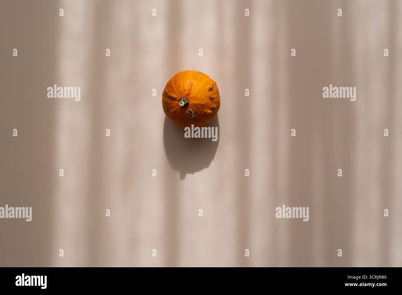 Piccola zucca decorativa su sfondo beige, ombre morbide, estetica minimalista Foto Stock