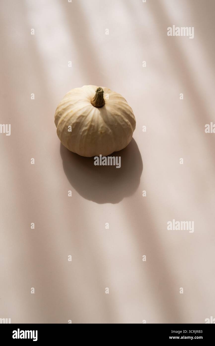 Piccola zucca decorativa su sfondo beige, ombre morbide, estetica minimalista Foto Stock