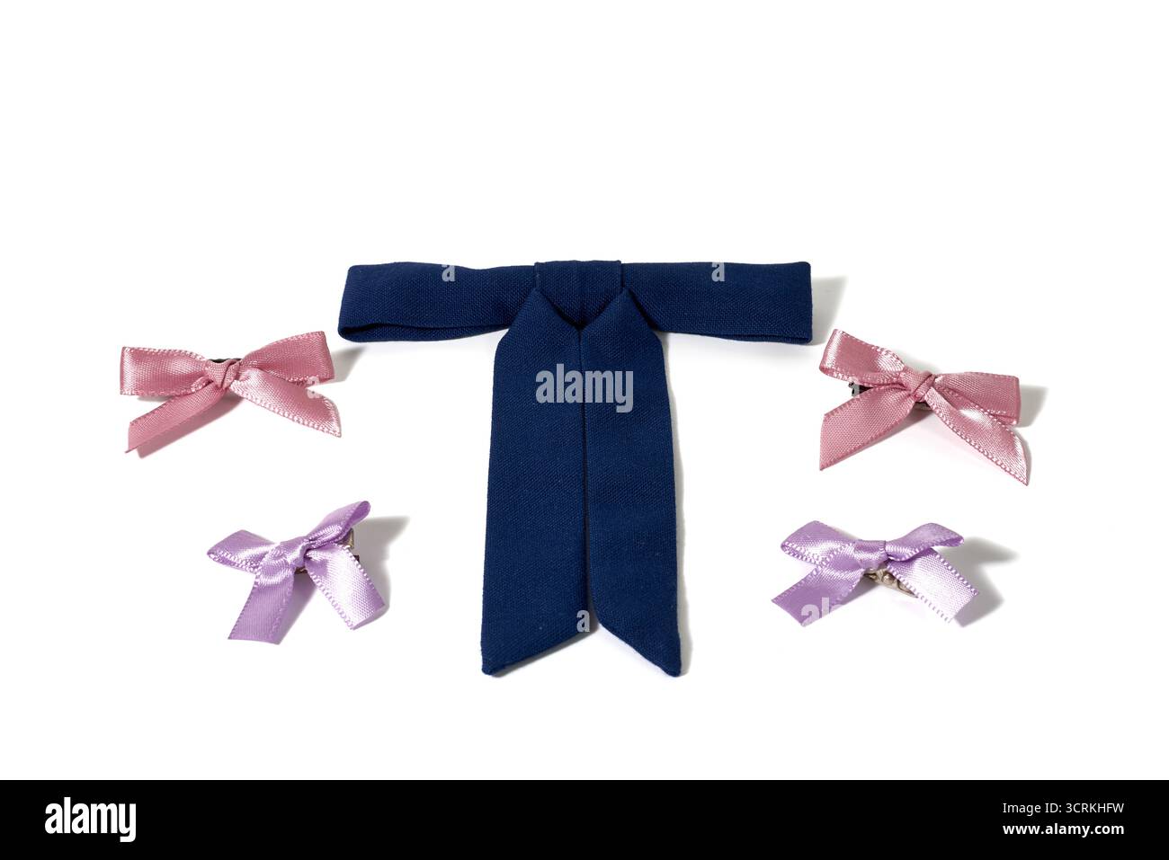 Un set di classici barrette con fiocco per donne e ragazze. Un concetto di accessori per capelli eleganti, moda femminile e stile senza tempo. Foto Stock