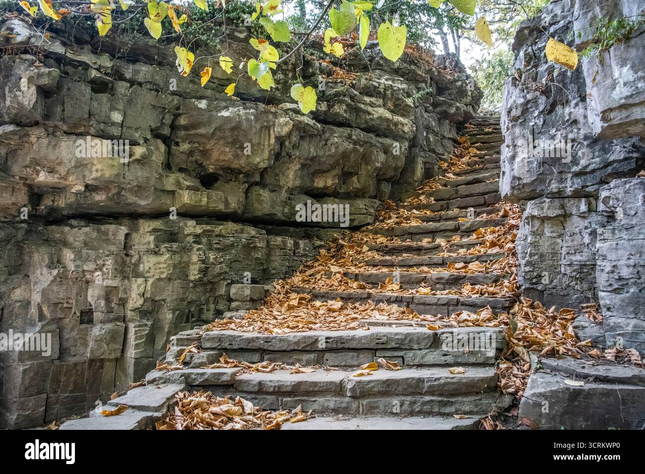 Passi di pietra attraverso la roccia lungo il fiume Ohio al Cave-in-Rock State Park a Cave-in-Rock, Illinois. (USA) Foto Stock