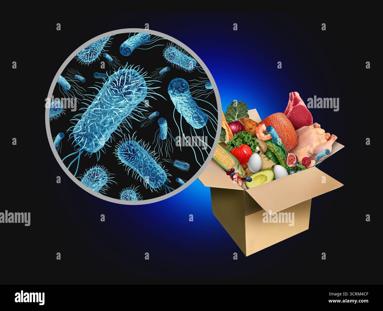 Salmonella nei pasti a domicilio concetto di scatola di alimentari come consegna di cena o pranzo come ingredienti freschi da cucinare come consegna di generi alimentari come pancetta Foto Stock
