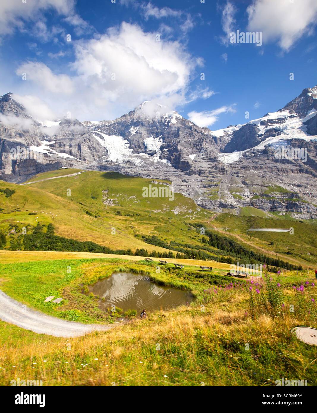 Svizzera foto vacanza turismo regione Jungfrau Oberland Bernese Foto Stock