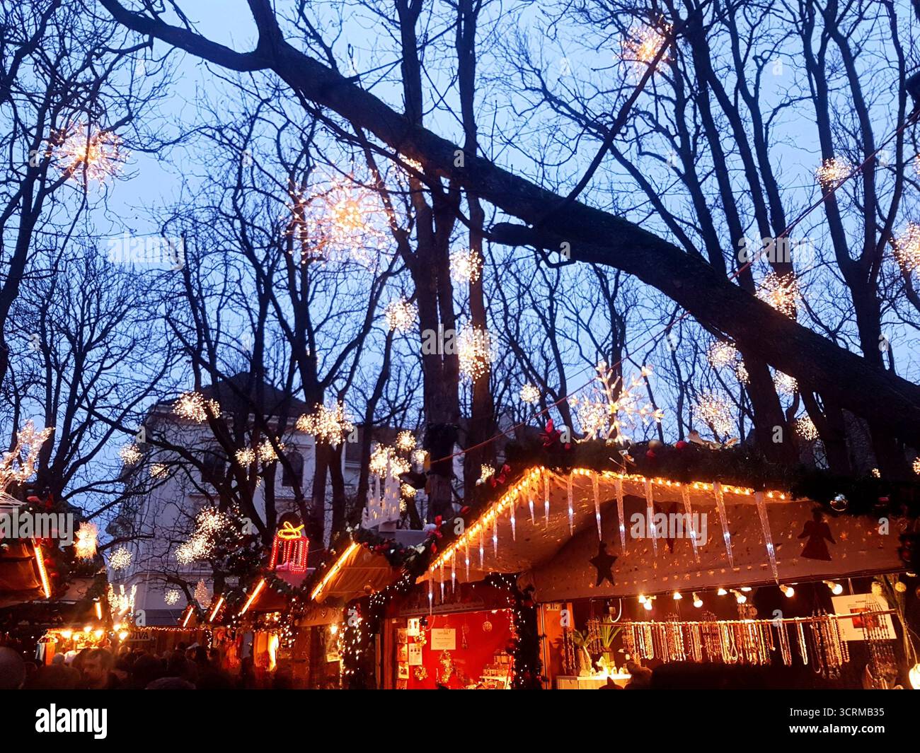 Un mercatino natalizio a Basilea, in Svizzera, si illumina con calore alla luce della sera. Gli alberi sono adornati da innumerevoli stelle splendenti. Foto Stock