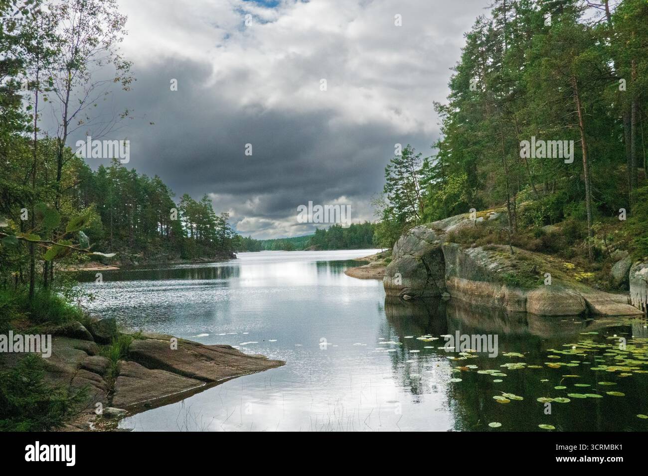 Paesaggio svedese, lago circondato da rocce, punteggiato da ghiacci e foreste di conifere Foto Stock